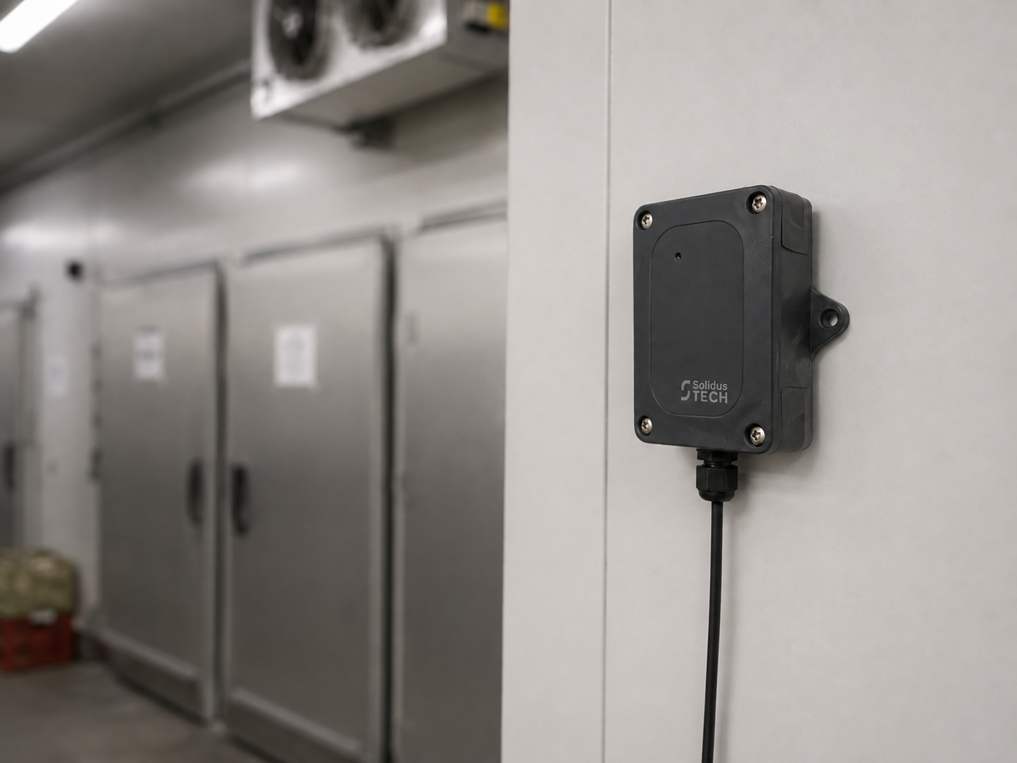 Innenraum-Thermometer LPWAN